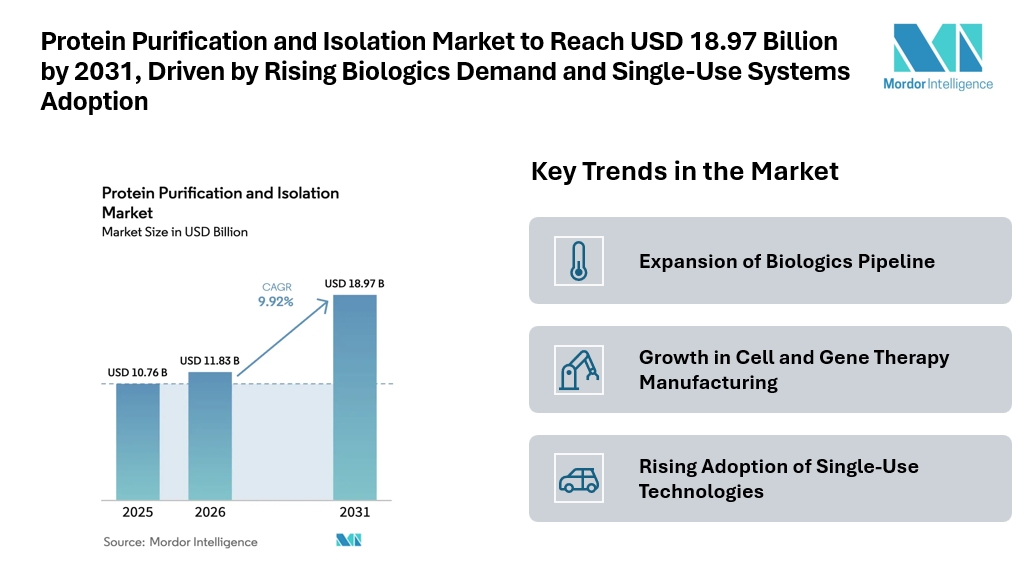 Protein Purification and Isolation Market to Reach USD 18.97 Billion by 2031, Driven by Rising Biologics Demand and Single-Use Systems Adoption Protein Purification and Isolation Market to Reach USD 18.97 Billion by 2031, Driven by Rising Biologics Demand and Single-Use Systems Adoption