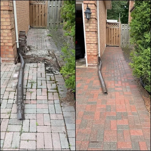 Pressure Washing Support in Setauket NY Shifts to Tighter Risk-Mitigation Standards by Ward Melville Power Washing Pros | Roof & House Washing Pressure Washing Support in Setauket NY Shifts to Tighter Risk-Mitigation Standards by Ward Melville Power Washing Pros | Roof & House Washing
