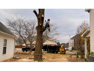 Thomas Tree Solutions Expands Tree Removal Services Across Oxford and Newton County, GA Thomas Tree Solutions Expands Tree Removal Services Across Oxford and Newton County, GA
