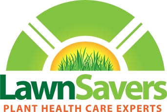 LawnSavers Named the 2026 Consumer Choice Award Winner for the Best Lawn Care Service Company in the Greater Toronto Area 13 Years in a Row LawnSavers Named the 2026 Consumer Choice Award Winner for the Best Lawn Care Service Company in the Greater Toronto Area 13 Years in a Row