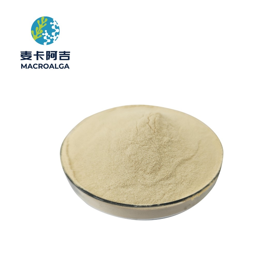 Protein Hydrolysate