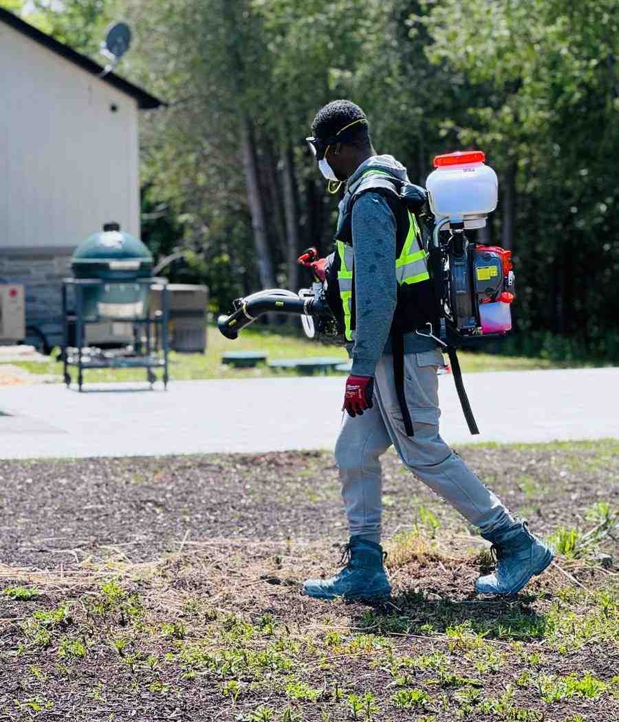 Simcoe PestX Provides Comprehensive Pest Control Services in Barrie and Simcoe County