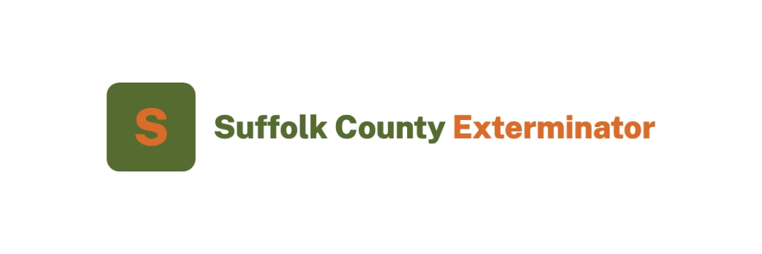Suffolk County Exterminator Releases Second-Half 2026 Pest Outlook for Long Island Homeowners