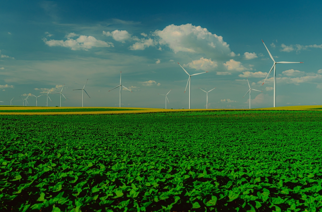 Solar's 36% Share Is Just the Opening Chapter: Global Renewable Energy Market Charts a Path to USD 1.8 Trillion. Solar's 36% Share Is Just the Opening Chapter: Global Renewable Energy Market Charts a Path to USD 1.8 Trillion.