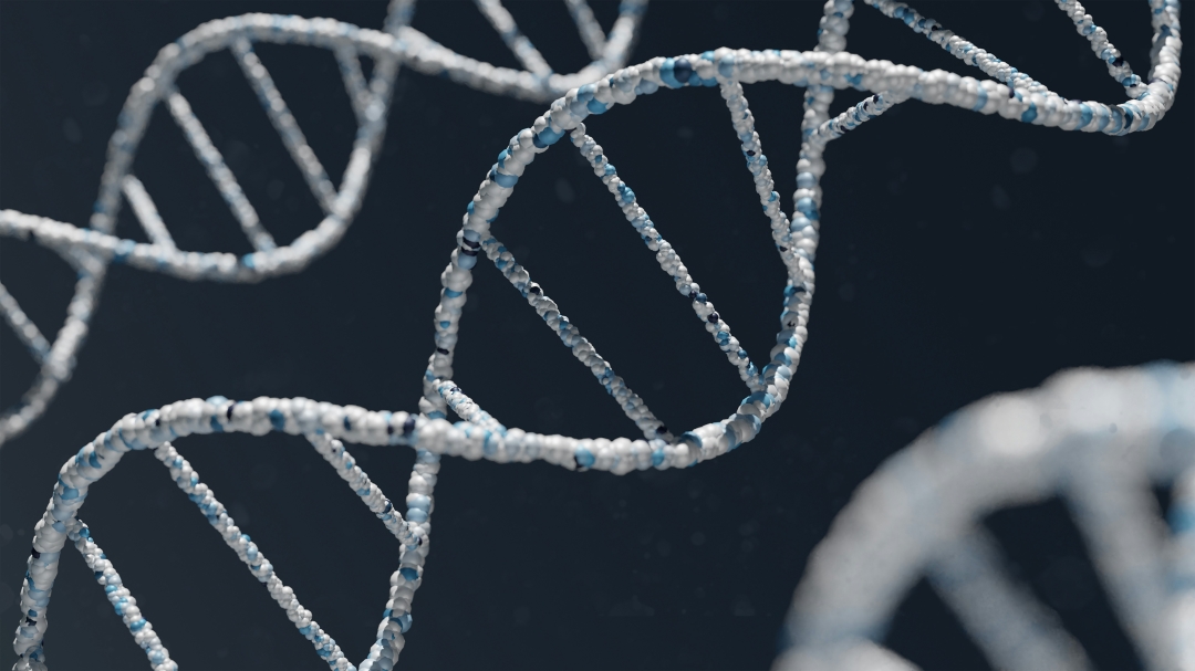 A Single Blood Draw Can Now Predict Disease Years Before Symptoms Appear - That's Building a $27 Billion Industry. A Single Blood Draw Can Now Predict Disease Years Before Symptoms Appear - That's Building a $27 Billion Industry.