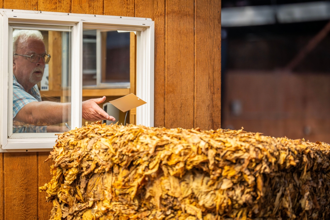 One Number Explains Asia-Pacific's Entire Tobacco Story: 40 Billion More Sticks Sold by 2033, Despite Falling Smoking Rates One Number Explains Asia-Pacific's Entire Tobacco Story: 40 Billion More Sticks Sold by 2033, Despite Falling Smoking Rates