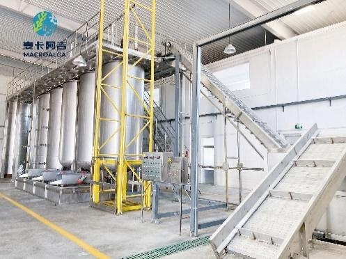 Qingdao MacroAlga Co., Ltd
