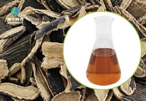Ecklonia maxima Extract