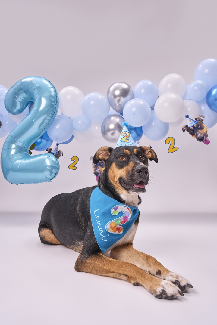 PartyAnimal, One of the Fastest-Growing Handmade Dog Brands in the U.S., Opens Its Creator Program to Dog Owners Nationwide with Uncapped 10% Commission on Every Sale