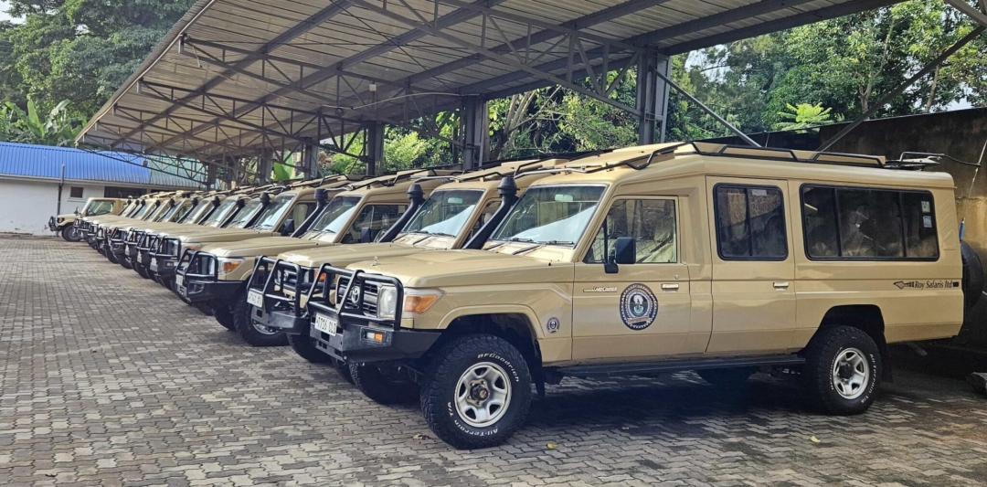 Roy Safaris Named Top Tanzania Safari Tour Company in New Industry Roundup