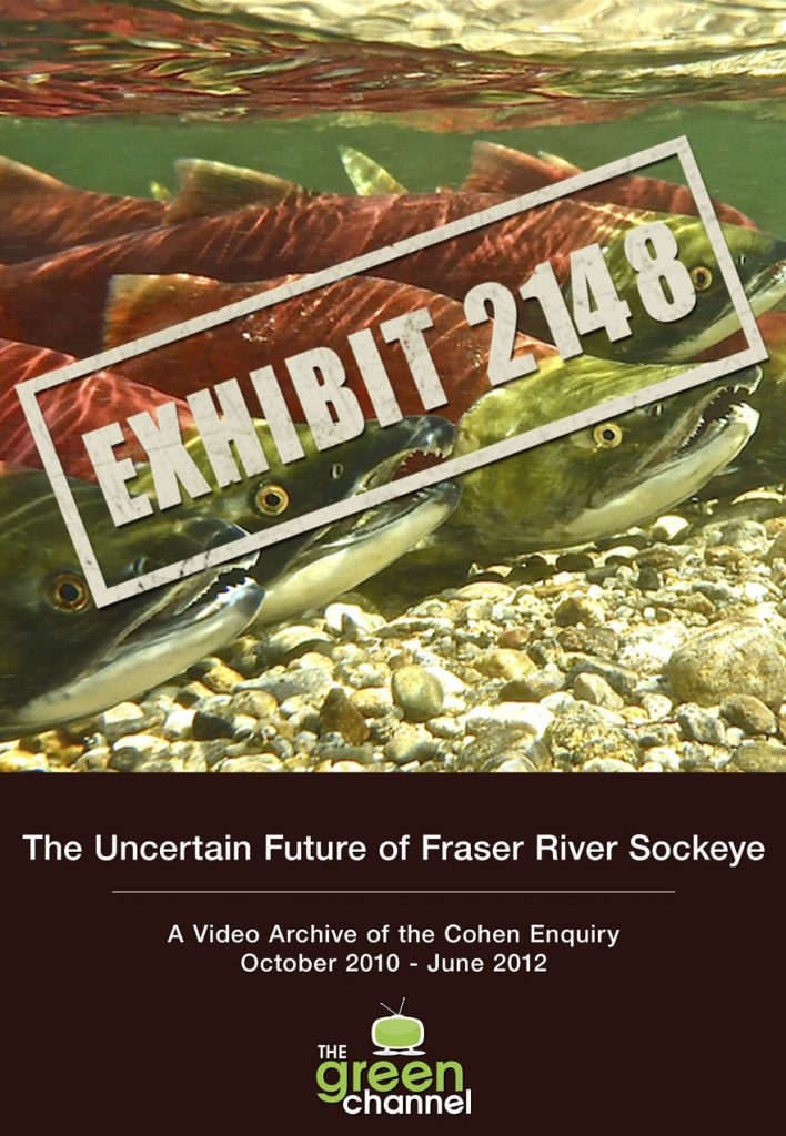 One camera, 119 days, no budget: the only video record of Canada's Cohen Inquiry into vanishing Fraser River sockeye is now streaming One camera, 119 days, no budget: the only video record of Canada's Cohen Inquiry into vanishing Fraser River sockeye is now streaming