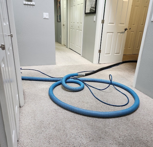 Carpet Cleaning Bros Shares Key Tips for Choosing a Carpet Cleaning Company in Medford, OR Carpet Cleaning Bros Shares Key Tips for Choosing a Carpet Cleaning Company in Medford, OR