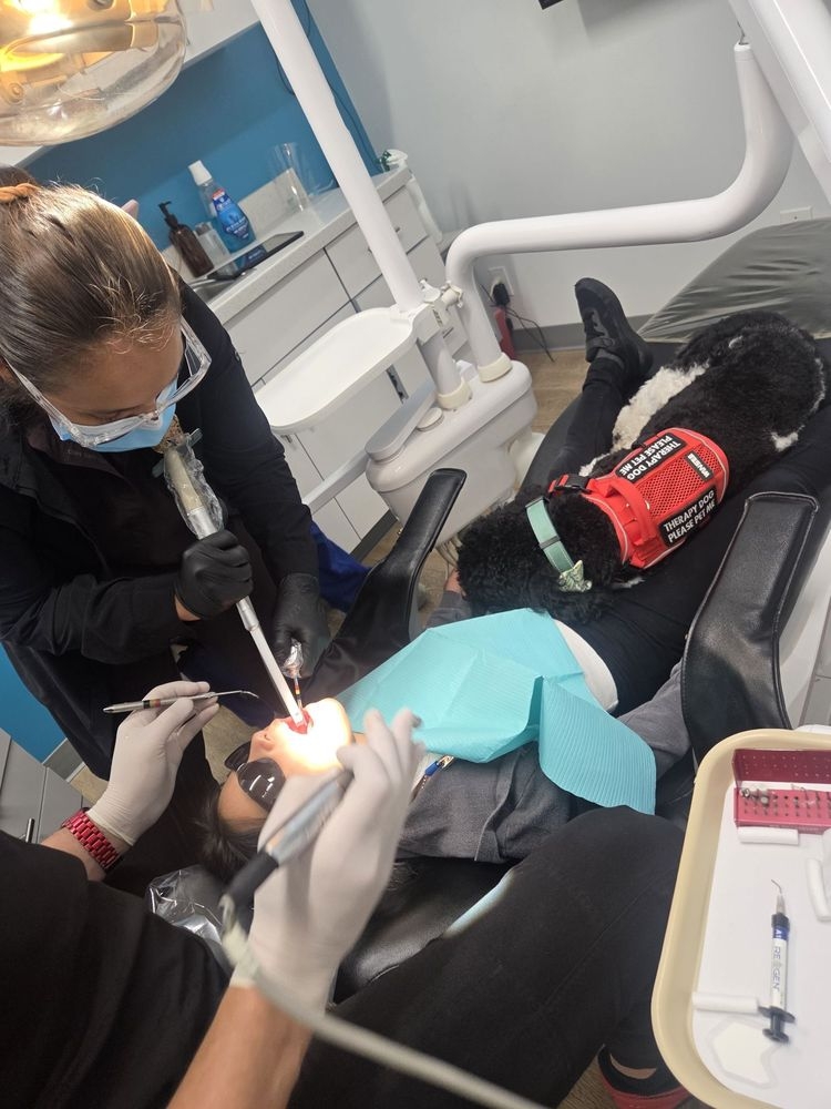 Full Mouth Restoration in Woodland Hills, CA: Local Practice Expands All-On-X Implant Options for Patients Full Mouth Restoration in Woodland Hills, CA: Local Practice Expands All-On-X Implant Options for Patients