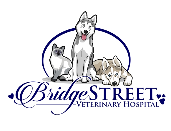 Bridge Street Veterinary Hospital Announces New Ownership and New Chapter for Waterloo Pet Care