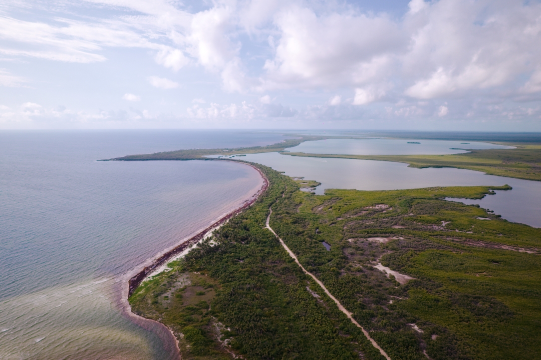 Ibogaine by David Dardashti Announces Groundbreaking Extended Treatment Program Featuring a "Hero's Journey" Across the Riviera Maya Ibogaine by David Dardashti Announces Groundbreaking Extended Treatment Program Featuring a "Hero's Journey" Across the Riviera Maya