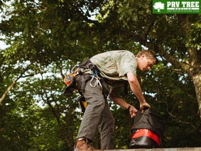 PRV Tree Service Urges Austin TX Property Owners to Address Roof Clearance Before Branches Become Hazards