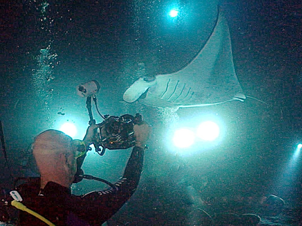 New Independent Comparison Names the Best Manta Ray Night Snorkel in Kona for 2026 New Independent Comparison Names the Best Manta Ray Night Snorkel in Kona for 2026