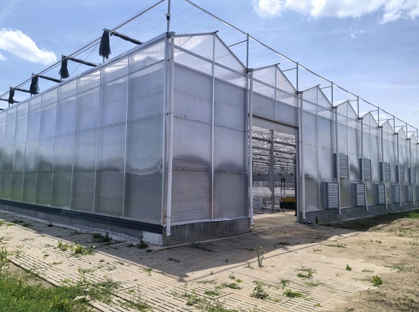Sainpoly Highlights Polycarbonate Greenhouse Technology for Year-Round Cultivation