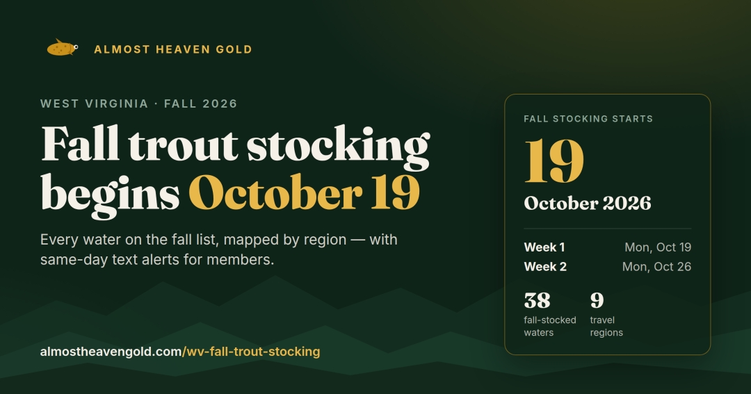 West Virginia Fall Trout Stocking Begins October 19: Almost Heaven Gold Maps Every Fall-Stocked Water and Texts Anglers the Day It Happens