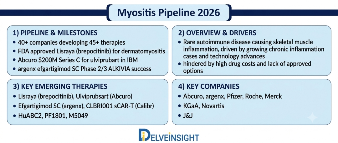 Myositis Pipeline 2026: Therapies Under Investigation, Clinical Trials Milestones, and FDA Approvals by DelveInsight | Roche, Pfizer, Zydus Group, Lupin, Bausch Health, Accord Healthcare, Genentech Myositis Pipeline 2026: Therapies Under Investigation, Clinical Trials Milestones, and FDA Approvals by DelveInsight | Roche, Pfizer, Zydus Group, Lupin, Bausch Health, Accord Healthcare, Genentech