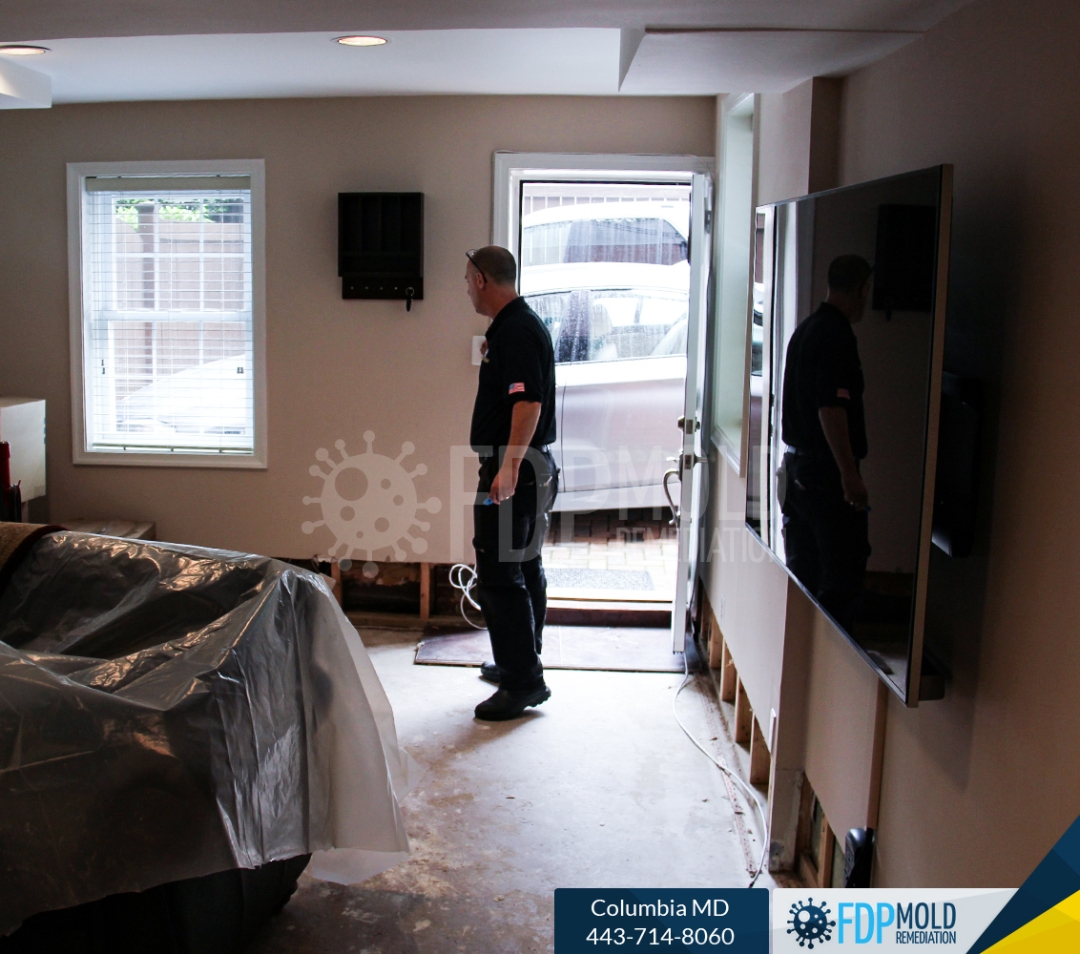 Mold Behind Drywall: FDP Mold Remediation of Columbia Shares What Property Owners Should Know Before Opening the Wall Mold Behind Drywall: FDP Mold Remediation of Columbia Shares What Property Owners Should Know Before Opening the Wall