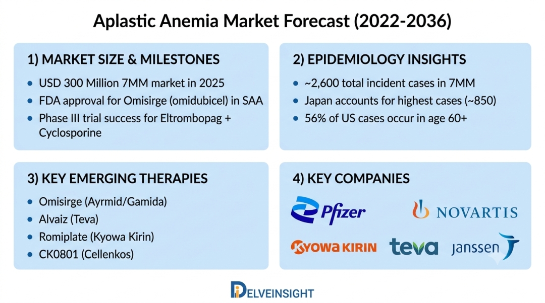 Aplastic Anemia Market Growth Outlook 2036: Epidemiology, Pipeline Therapies, and Revenue Forecast – DelveInsight | Pfizer, Regeneron Pharma, Gamida-Cell, Kyowa Kirin, Novartis, Jiangsu HengRui Aplastic Anemia Market Growth Outlook 2036: Epidemiology, Pipeline Therapies, and Revenue Forecast – DelveInsight | Pfizer, Regeneron Pharma, Gamida-Cell, Kyowa Kirin, Novartis, Jiangsu HengRui