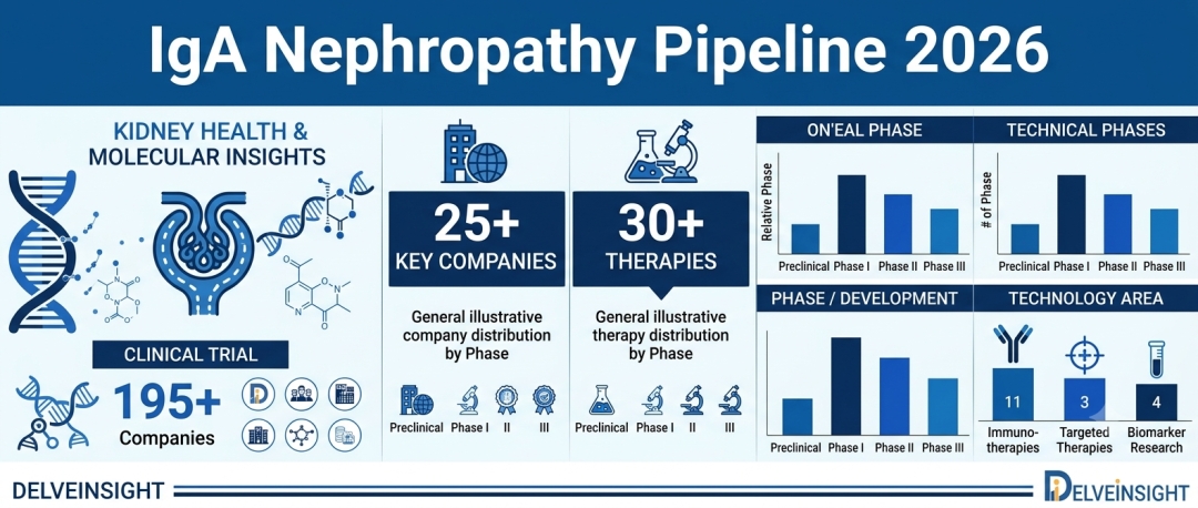 IgA Nephropathy Pipeline 2026: MOA, ROA, FDA-Approved Drugs, and Clinical Trial Progress Assessment by DelveInsight | Visterra, Chinook Therapeutics, Novartis, IgA proteases Selecta Biosciences IgA Nephropathy Pipeline 2026: MOA, ROA, FDA-Approved Drugs, and Clinical Trial Progress Assessment by DelveInsight | Visterra, Chinook Therapeutics, Novartis, IgA proteases Selecta Biosciences