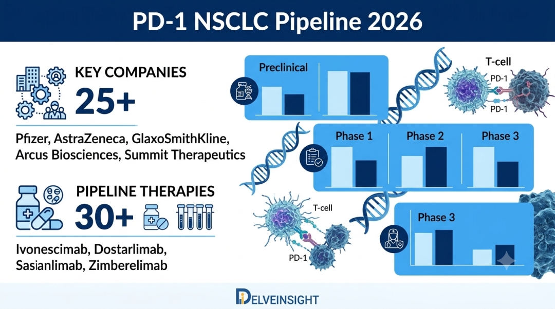 PD-1 NSCLC Pipeline 2026: MOA and ROA Insights, Clinical Trials Status, and Key Companies Involved by DelveInsight | Genor Biopharma, Shandong Boan Biotech, Pfizer, AstraZeneca, Lepu Biopharma, GSK PD-1 NSCLC Pipeline 2026: MOA and ROA Insights, Clinical Trials Status, and Key Companies Involved by DelveInsight | Genor Biopharma, Shandong Boan Biotech, Pfizer, AstraZeneca, Lepu Biopharma, GSK