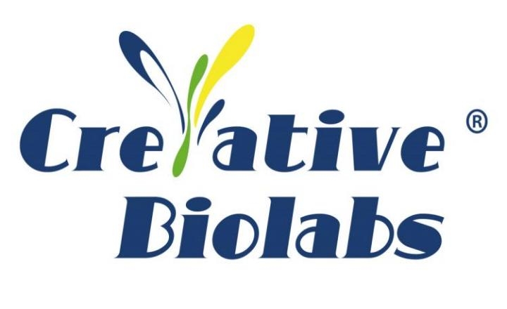 Creative Biolabs Highlights Integrated Research Services for Probiotic and Live Biotherapeutic Development