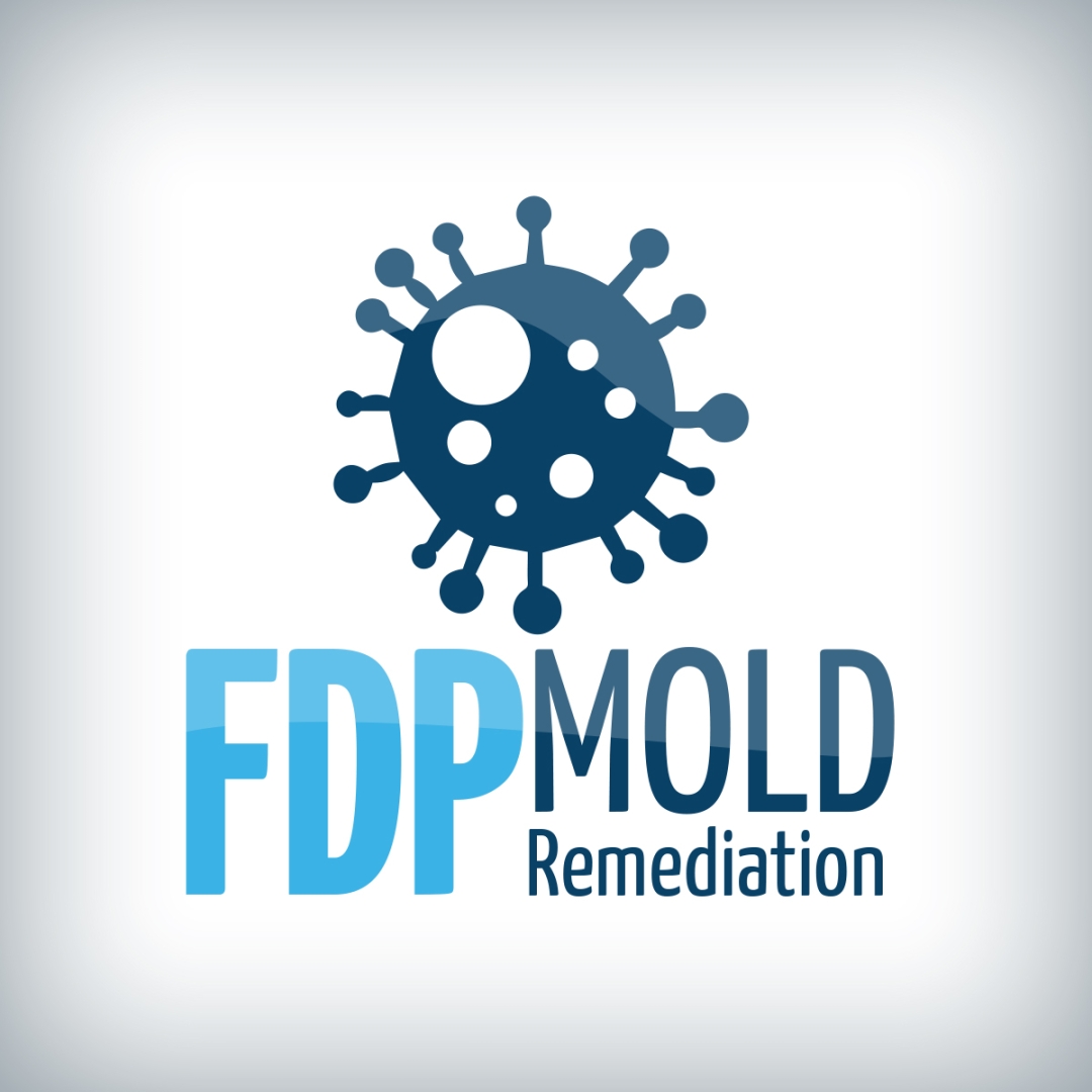 FDP Mold Remediation Highlights the Financial Risks of Delayed Mold Cleanup in Rental Properties FDP Mold Remediation Highlights the Financial Risks of Delayed Mold Cleanup in Rental Properties