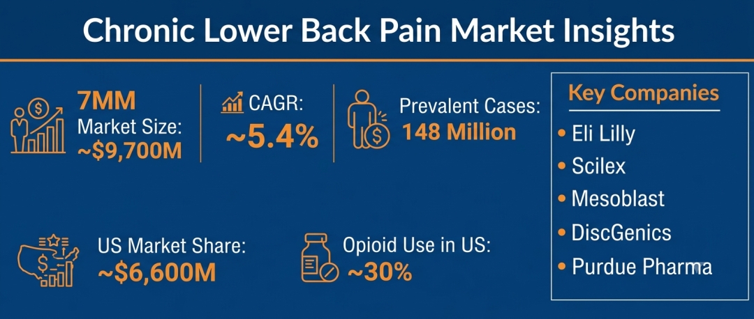 Chronic Lower Back Pain Market Size in the 7MM is projected to grow at a ~5.4% CAGR over the forecast period of 2026-2036 | DelveInsight Chronic Lower Back Pain Market Size in the 7MM is projected to grow at a ~5.4% CAGR over the forecast period of 2026-2036 | DelveInsight
