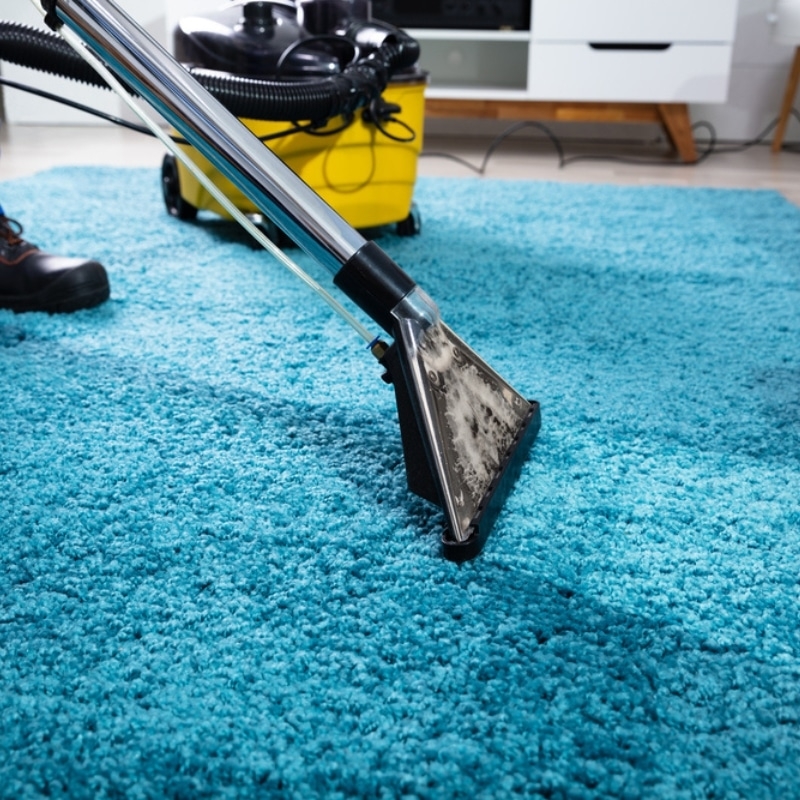 5 Carpet Issues Hippo Technicians See Repeatedly in Miami Beach Condos