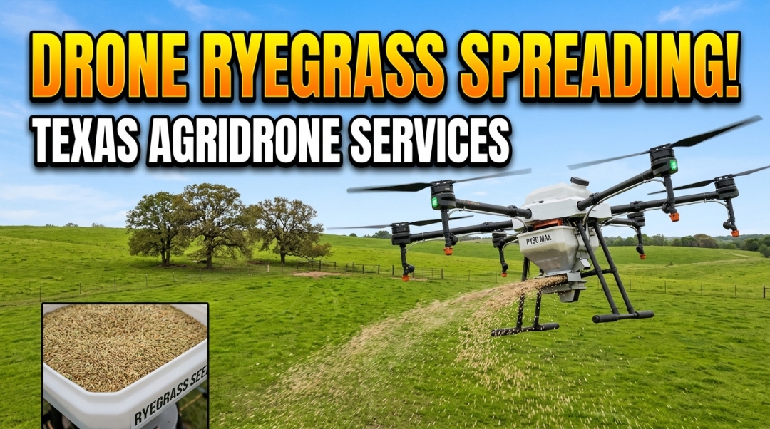 A New Way to Spread Ryegrass in Gonzales: Texas Agridrone Services Takes to the Skies A New Way to Spread Ryegrass in Gonzales: Texas Agridrone Services Takes to the Skies