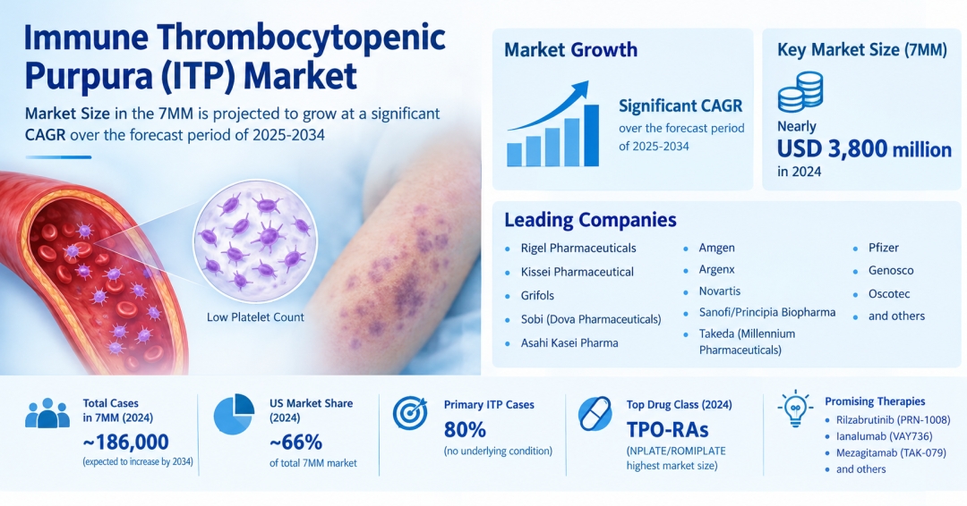 Immune Thrombocytopenic Purpura (ITP) Market Size in the 7MM is projected to grow at a significant CAGR over the forecast period of 2025-2034 | DelveInsight Immune Thrombocytopenic Purpura (ITP) Market Size in the 7MM is projected to grow at a significant CAGR over the forecast period of 2025-2034 | DelveInsight