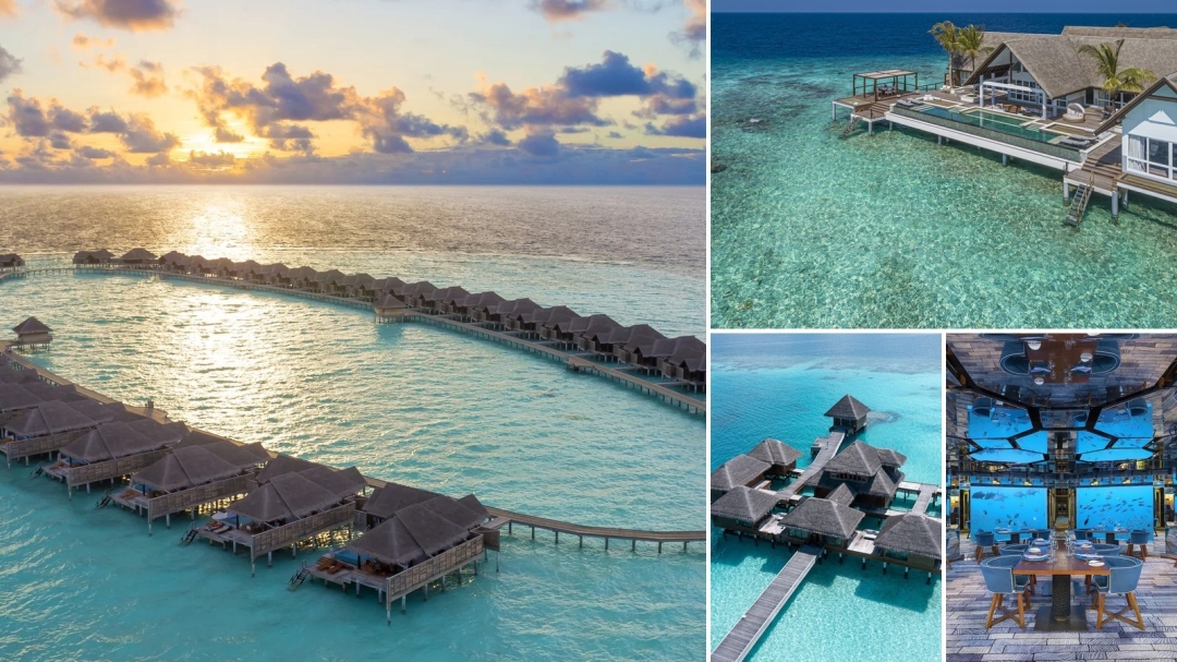 HolidayVibe Maldives launches luxury resort comparison and bespoke holiday package builder HolidayVibe Maldives launches luxury resort comparison and bespoke holiday package builder