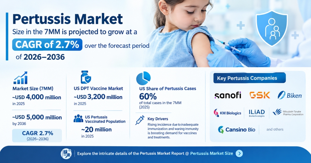 Pertussis Market Size in the 7MM is projected to grow at a CAGR of 2.7% over the forecast period of 2026-2036 | DelveInsight Pertussis Market Size in the 7MM is projected to grow at a CAGR of 2.7% over the forecast period of 2026-2036 | DelveInsight