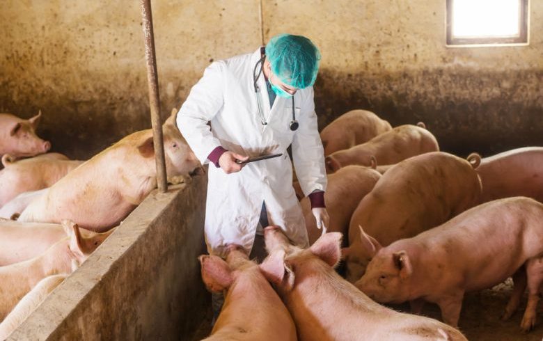 Animal Antibiotics and Antimicrobials Market Revenues $5.2 ...