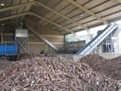 Cassava Processing Market Report, Global Industry Overview, Growth, Trends, Opportunities and Forecast 2019-2024 Cassava Processing Market Report, Global Industry Overview, Growth, Trends, Opportunities and Forecast 2019-2024