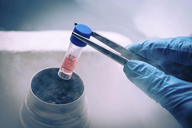Stem Cell Banking Market Size Worth US$ 17.3 Billion by 2024 | CAGR 13.5% - IMARC Group Stem Cell Banking Market Size Worth US$ 17.3 Billion by 2024 | CAGR 13.5% - IMARC Group