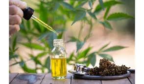 CBD Hemp Oil Market 2019: Global Key Players, Trends, Share, Industry Size, Segmentation, Opportunities, Forecast To 2024	