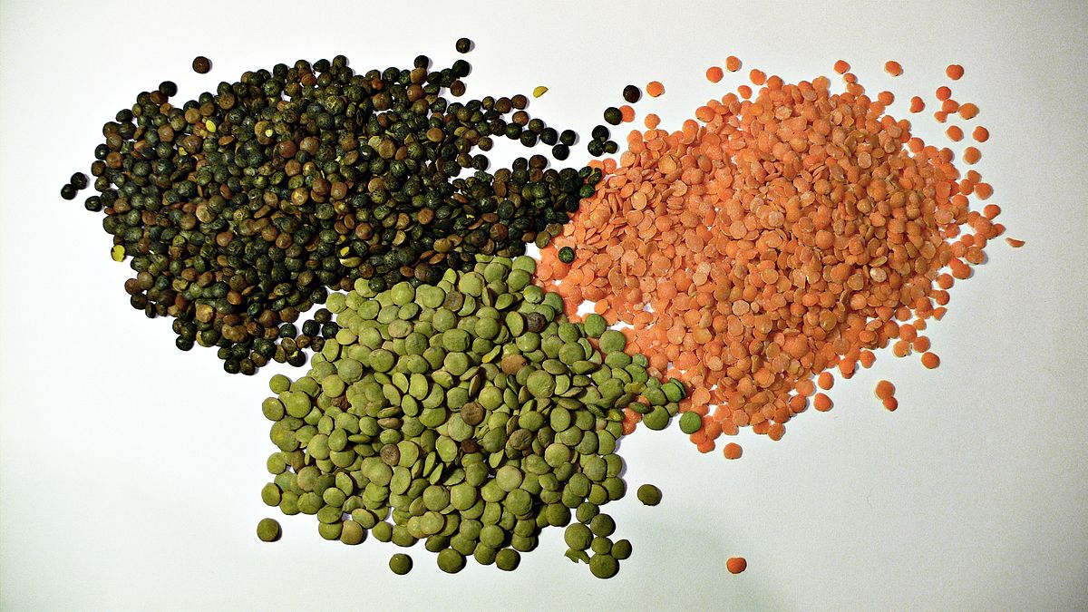 Lentil Market Report, Global Industry Overview, Growth, Trends, Opportunities and Forecast 2019-2024