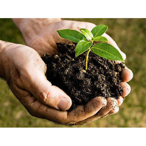 Organic Fertilizer Market Outlook: Investors Still Miss the Big Assessment	