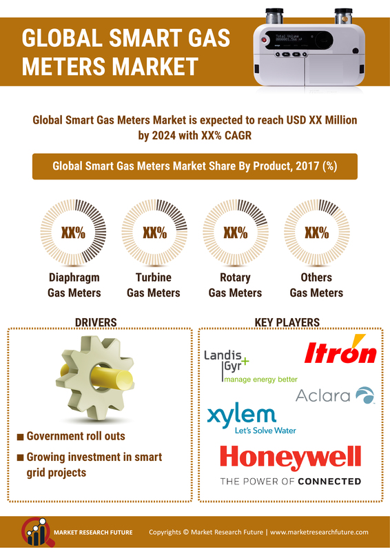 Smart Meters Market: 2019 Global Size, Share, Trends, Growth, Competitive Landscape, Regional Analysis With Industry Forecast To 2023