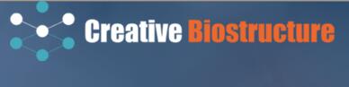 Creative Biostructure Updated Its NMR Service Recently to Get Clients’ Needs Met