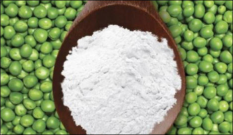 Pea Starch Market Size, Status and Growth Opportunities by 2019 to 2025