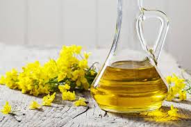 Rapeseed Oil Market 5.4% CAGR Seeking Excellent Consumption growth
