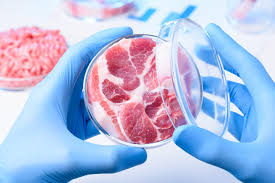 Cultured Meat Market Detailed Analysis of Business Opportunities, Growth & Forecast to 2025: Key Players – Finless Foods, Integriculture, Aleph Farms, Just