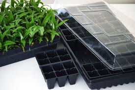 Germination Kits and Tray Market Is Fast Approaching, Says Research