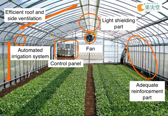 Key Opportunities and Challenges in the Smart Greenhouse Market