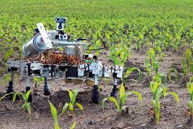 Agricultural AI Market to Witness Huge Growth | Major Giants (Google, Sentient Technologies, Intel, Agribotix)